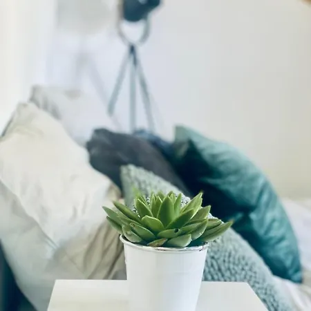 Le Apartamento *